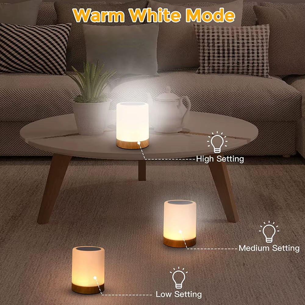 Touch Lamp 