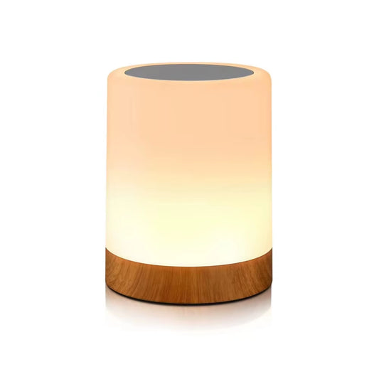 Touch Lamp 